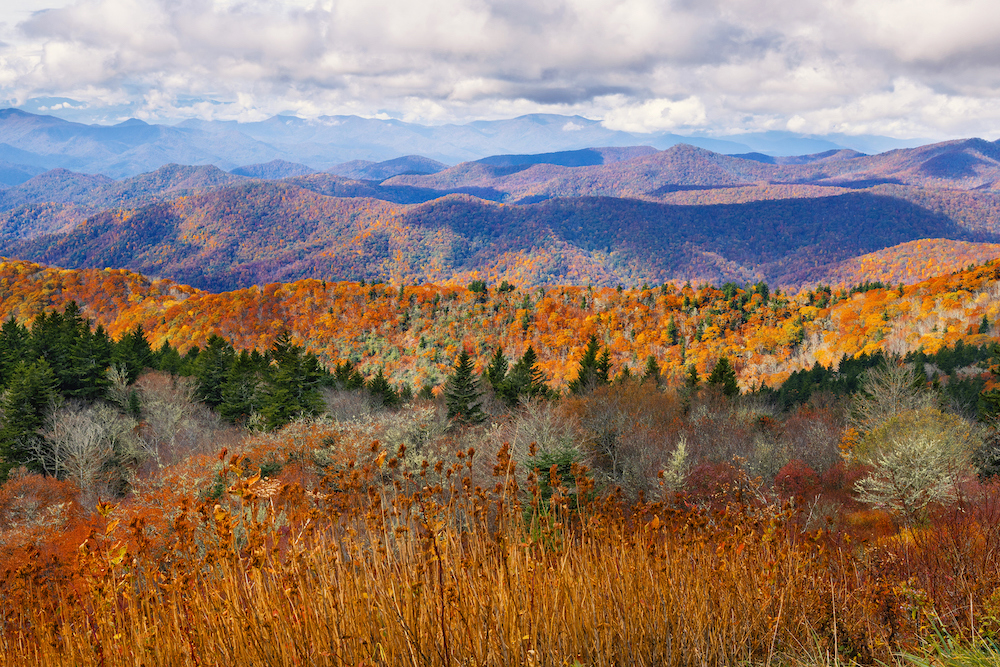 asheville in the fall foliage